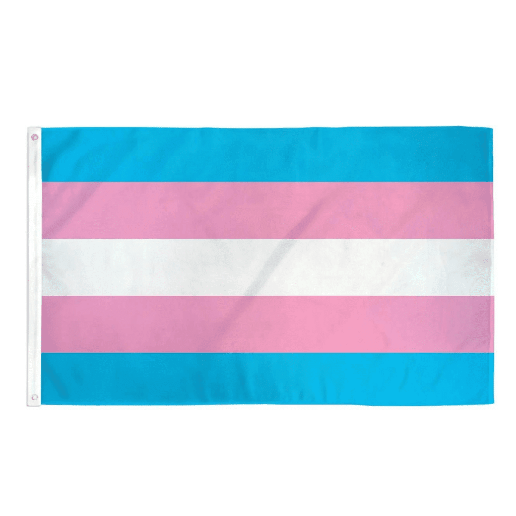 Fotografía del producto: Bandera Trans de cinco franjas (azul claro, rosa y blanco) en poliéster.