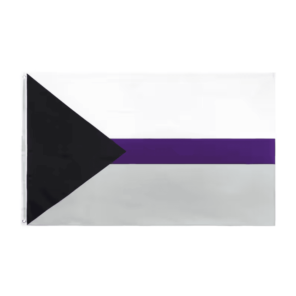 Comprar Bandera Demisexual oficial 150x90cm con anillas para exterior